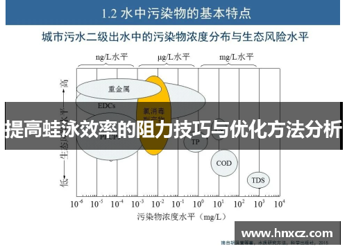 提高蛙泳效率的阻力技巧与优化方法分析