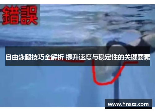 自由泳腿技巧全解析 提升速度与稳定性的关键要素