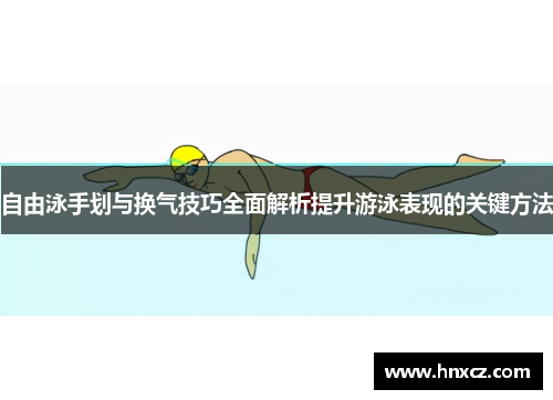 自由泳手划与换气技巧全面解析提升游泳表现的关键方法
